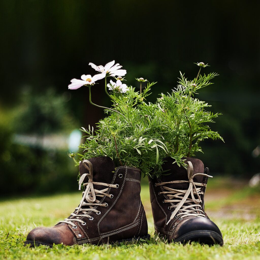 scarpe con all'interno fiori per articolo riguardante le bioplastiche e le plastiche da fonti riciclabili