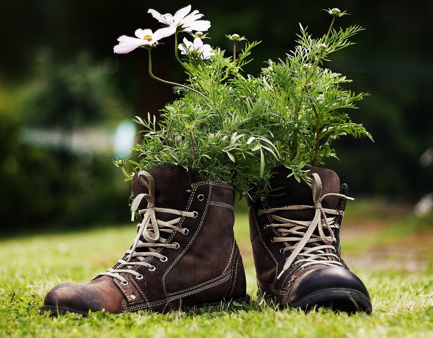 Bioplastics and recycled plastics. A more sustainable future for shoe sole molding.